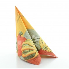 Jesenné servítky Britta terakotta, 40x40cm, netkaná textília 2