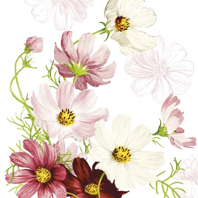 Kvetinové servítky Cosmea 40x40cm, netkaná textília