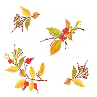 Servítky z netkanej textílie Kristina 40x40cm