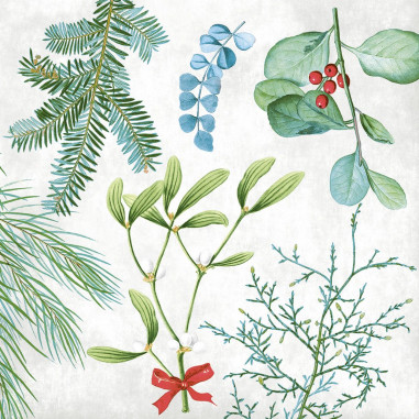 Vianočné servítky Amaryllis, netkaná textília,...