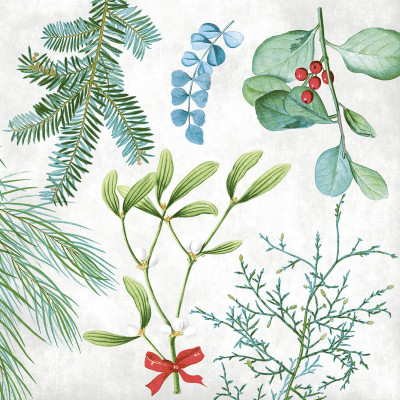 Vianočné servítky Amaryllis, netkaná textília, 40x40cm